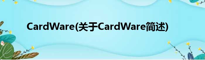 CardWare(对于CardWare简述)