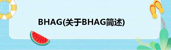 BHAG(对于BHAG简述)