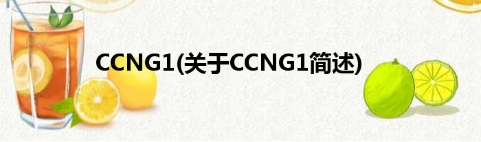 CCNG1(对于CCNG1简述)