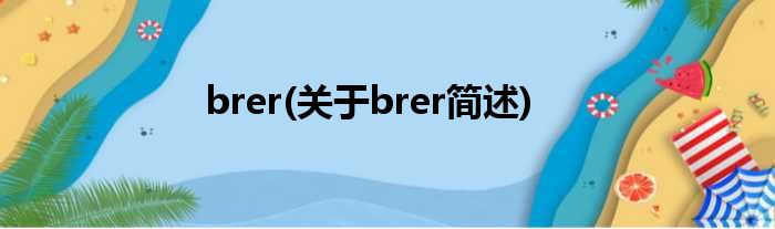 brer(对于brer简述)