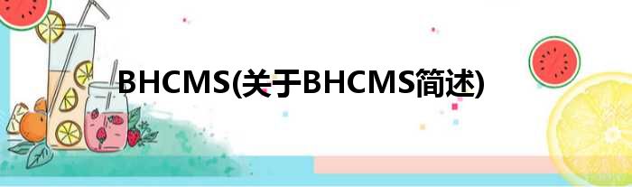 BHCMS(对于BHCMS简述)