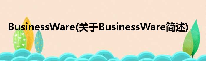 BusinessWare(对于BusinessWare简述)