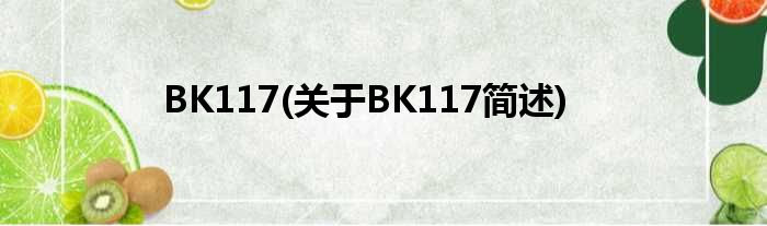 BK117(对于BK117简述)