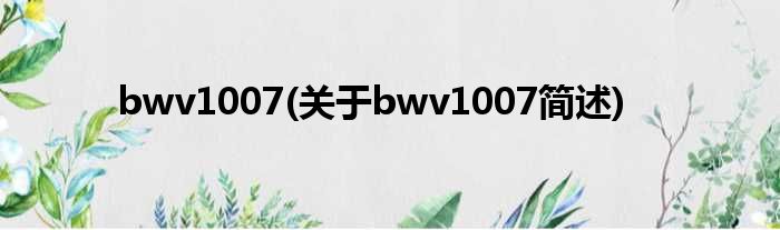 bwv1007(对于bwv1007简述)