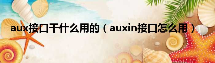 aux接口干甚么用的（auxin接口奈何样用）