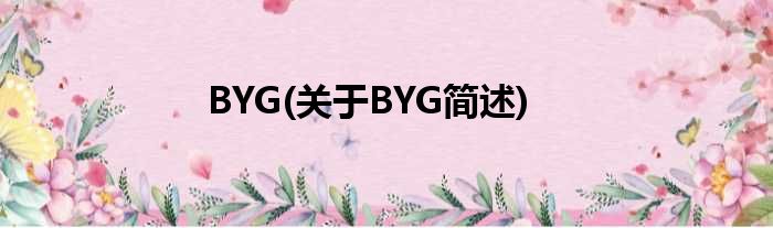 BYG(对于BYG简述)