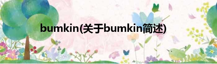 bumkin(对于bumkin简述)