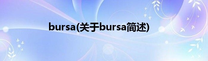 bursa(对于bursa简述)