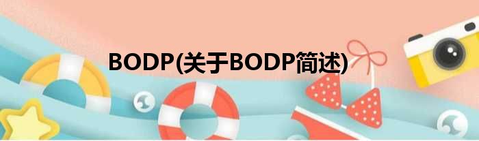 BODP(对于BODP简述)