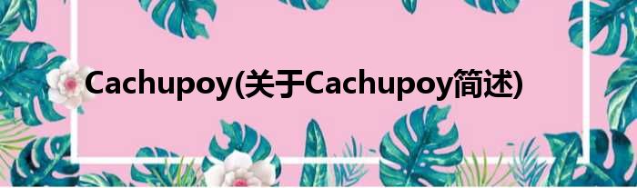Cachupoy(对于Cachupoy简述)