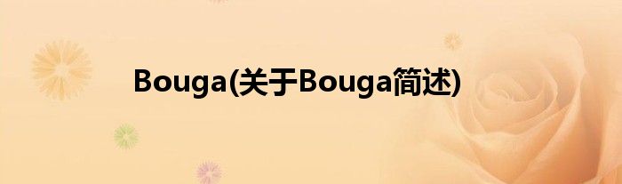 Bouga(对于Bouga简述)