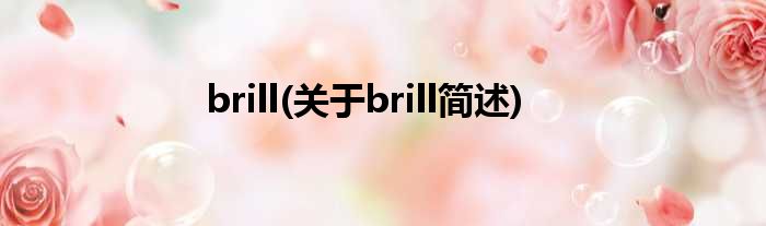 brill(对于brill简述)