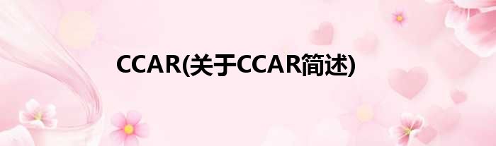 CCAR(对于CCAR简述)