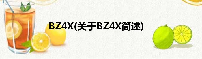 BZ4X(对于BZ4X简述)