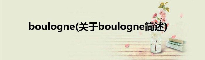 boulogne(对于boulogne简述)