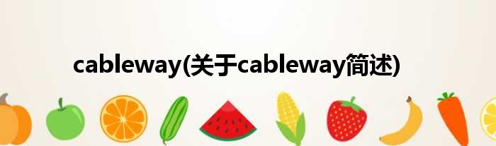 cableway(对于cableway简述)