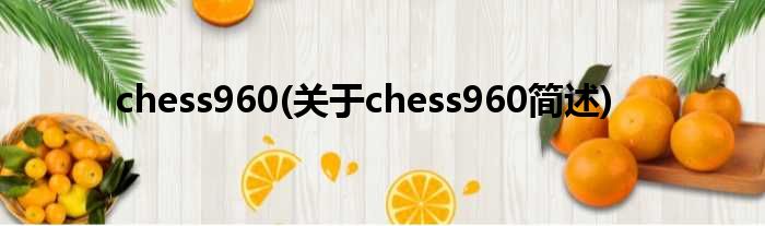 chess960(对于chess960简述)