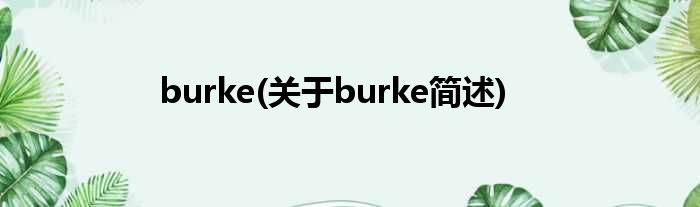 burke(对于burke简述)