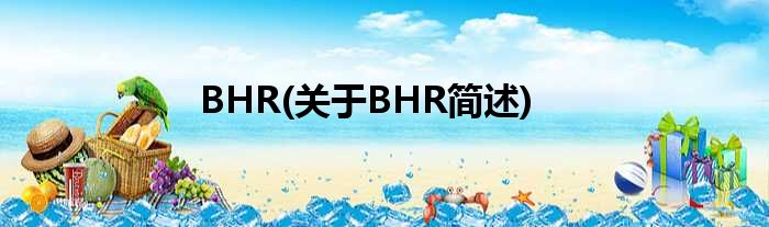 BHR(对于BHR简述)