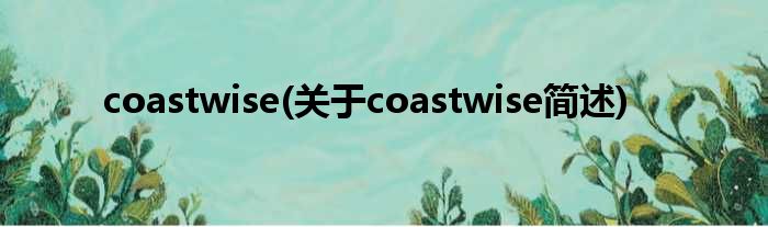 coastwise(对于coastwise简述)