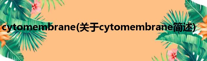 cytomembrane(对于cytomembrane简述)
