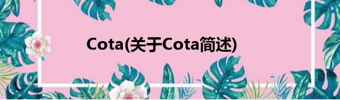 Cota(对于Cota简述)