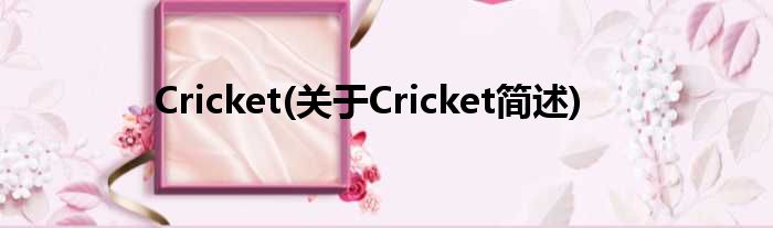 Cricket(对于Cricket简述)