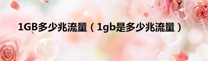 1GB多少多兆流量（1gb是多少多兆流量）