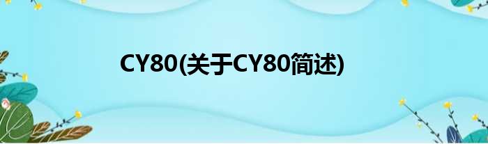 CY80(对于CY80简述)