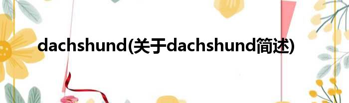 dachshund(对于dachshund简述)