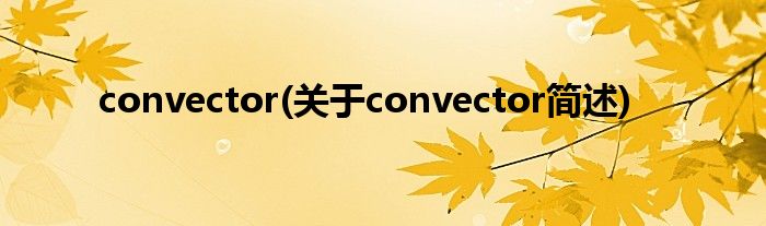 convector(对于convector简述)