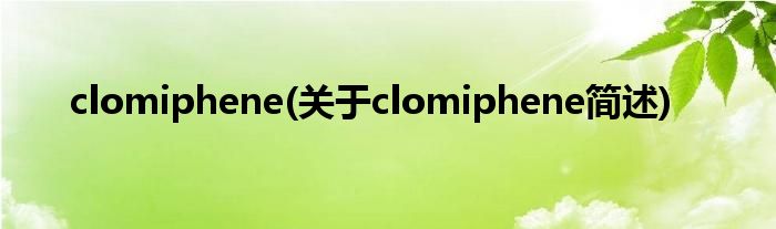 clomiphene(对于clomiphene简述)