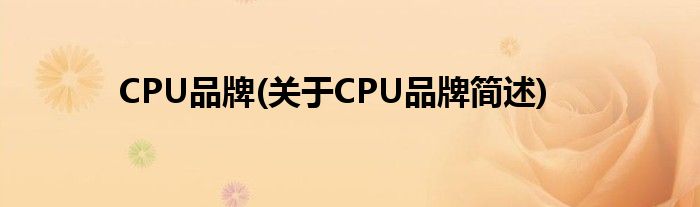 CPU品牌(对于CPU品牌简述)