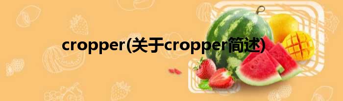 cropper(对于cropper简述)