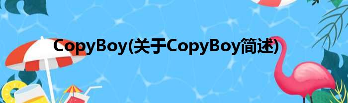 CopyBoy(对于CopyBoy简述)