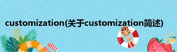 customization(对于customization简述)