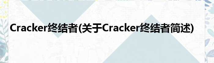Cracker开幕者(对于Cracker开幕者简述)