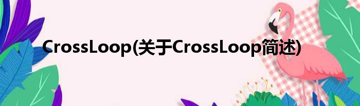 CrossLoop(对于CrossLoop简述)