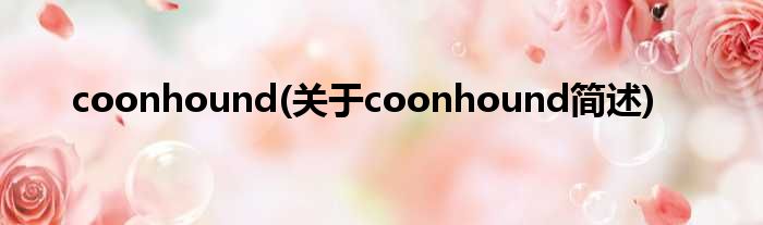 coonhound(对于coonhound简述)