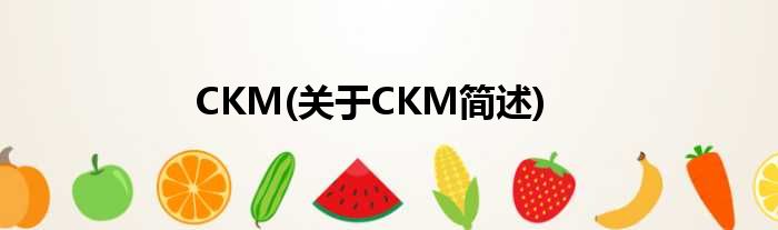 CKM(对于CKM简述)