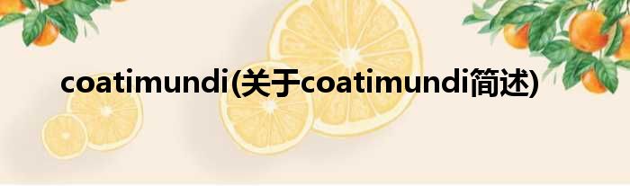 coatimundi(对于coatimundi简述)