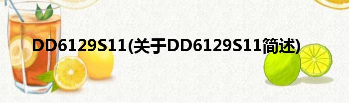 DD6129S11(对于DD6129S11简述)