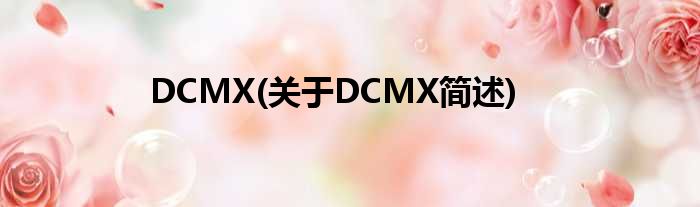 DCMX(对于DCMX简述)
