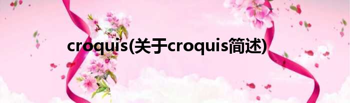 croquis(对于croquis简述)
