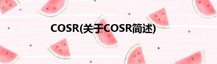 COSR(对于COSR简述)