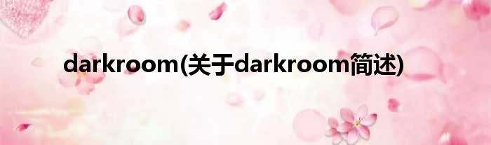 darkroom(对于darkroom简述)
