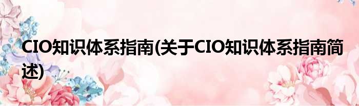 CIO知识系统指南(对于CIO知识系统指南简述)
