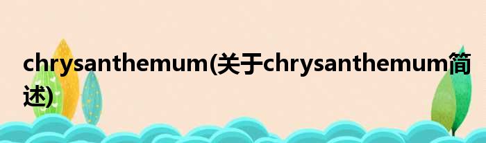 chrysanthemum(对于chrysanthemum简述)