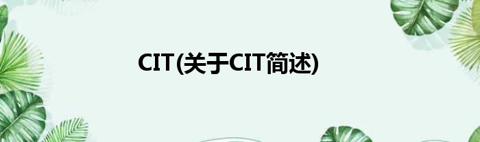 CIT(对于CIT简述)