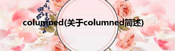 columned(对于columned简述)